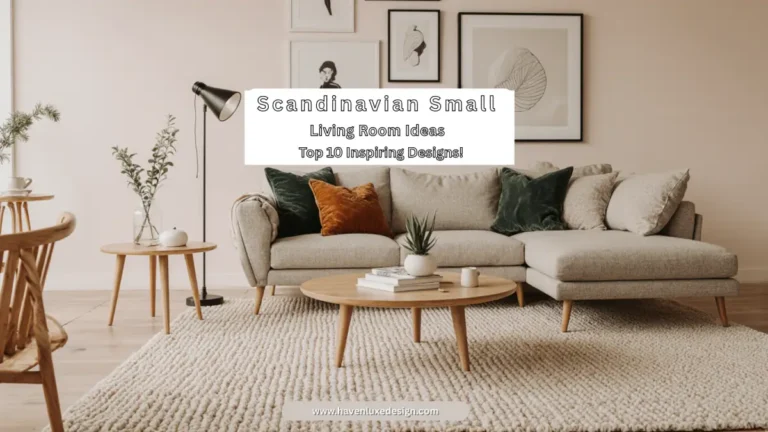 Scandinavian small living room ideas with cozy sofa and minimalist décor